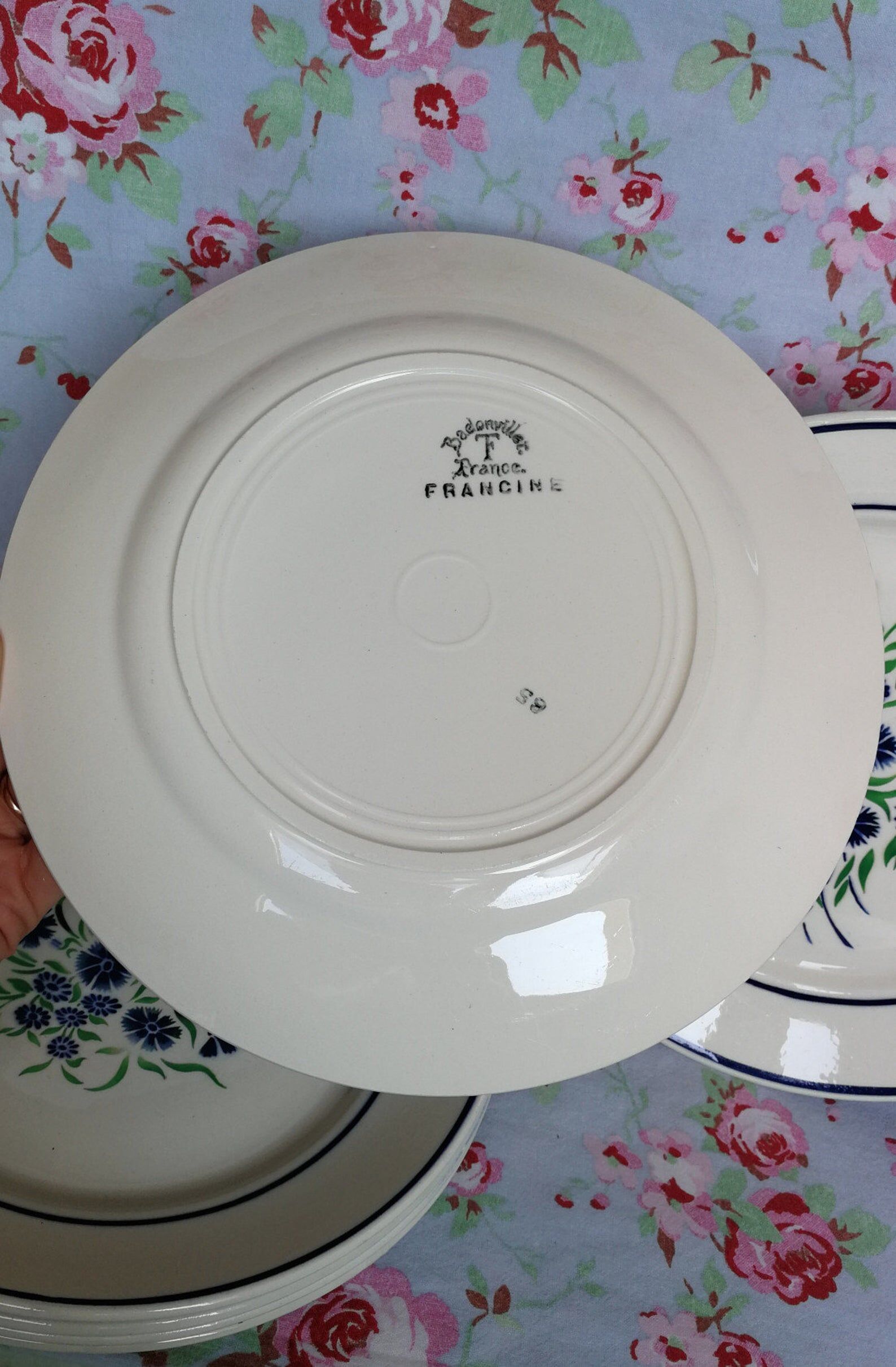 6 plates old Badonviller francine blue and green flowers au pochoir