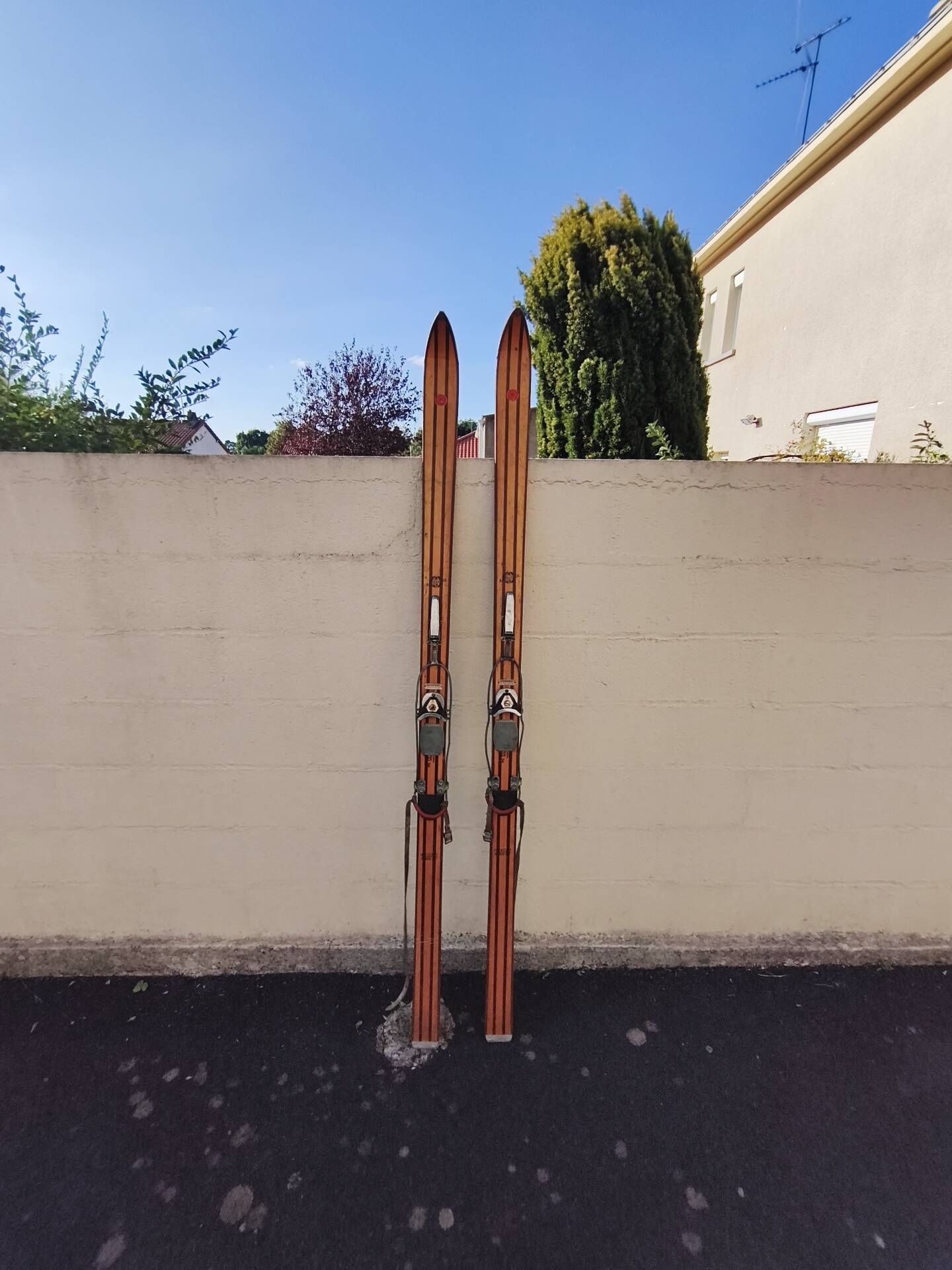 Rossignol competition ski pair 41 Hickory