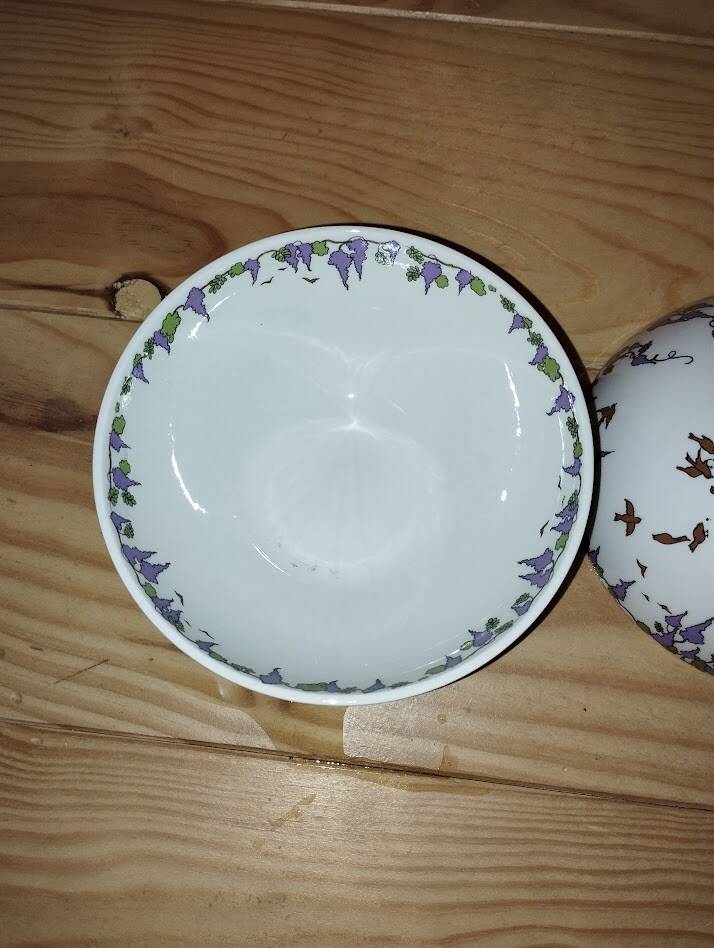Pair of Villeroy & Boch bowls – Floral decoration – Perfect condition
