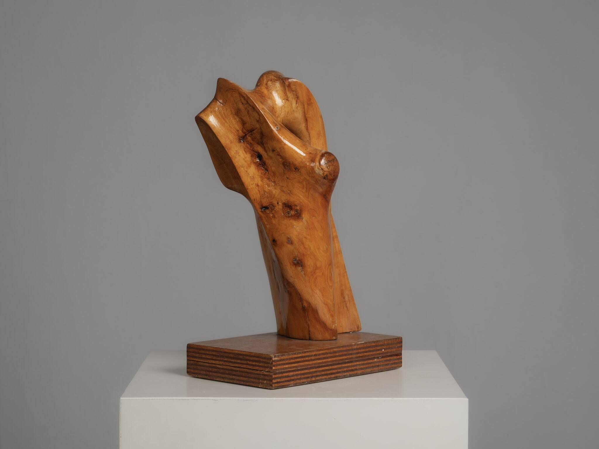 Organic wood sculpture by H. Hinfelaar, Netherlands, 1980s