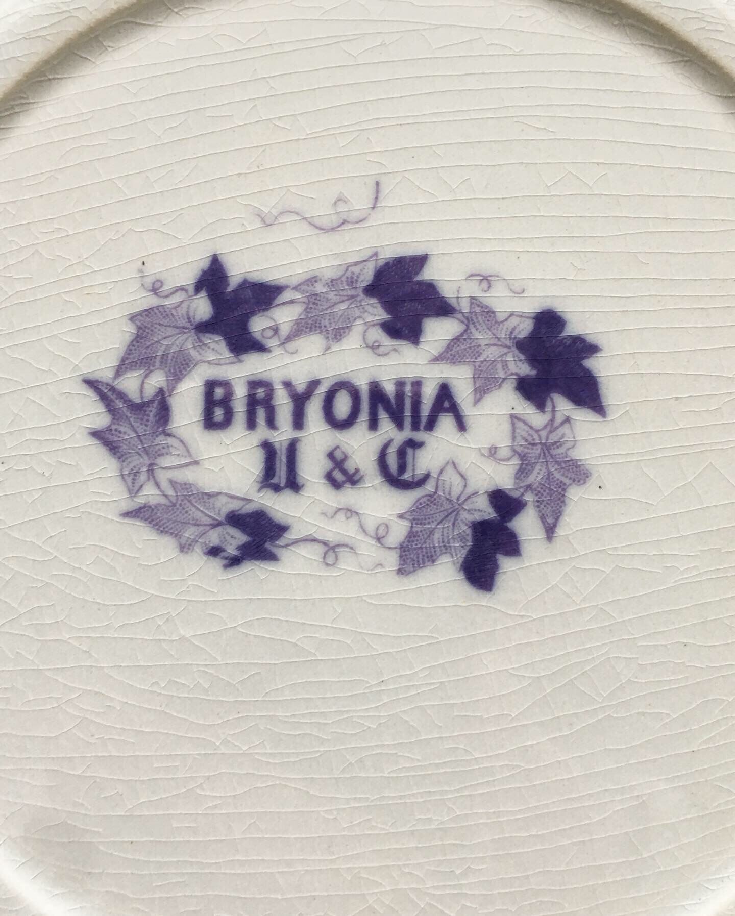 Set of 6 dessert plates Sarreguemines Bryonia Iron Land