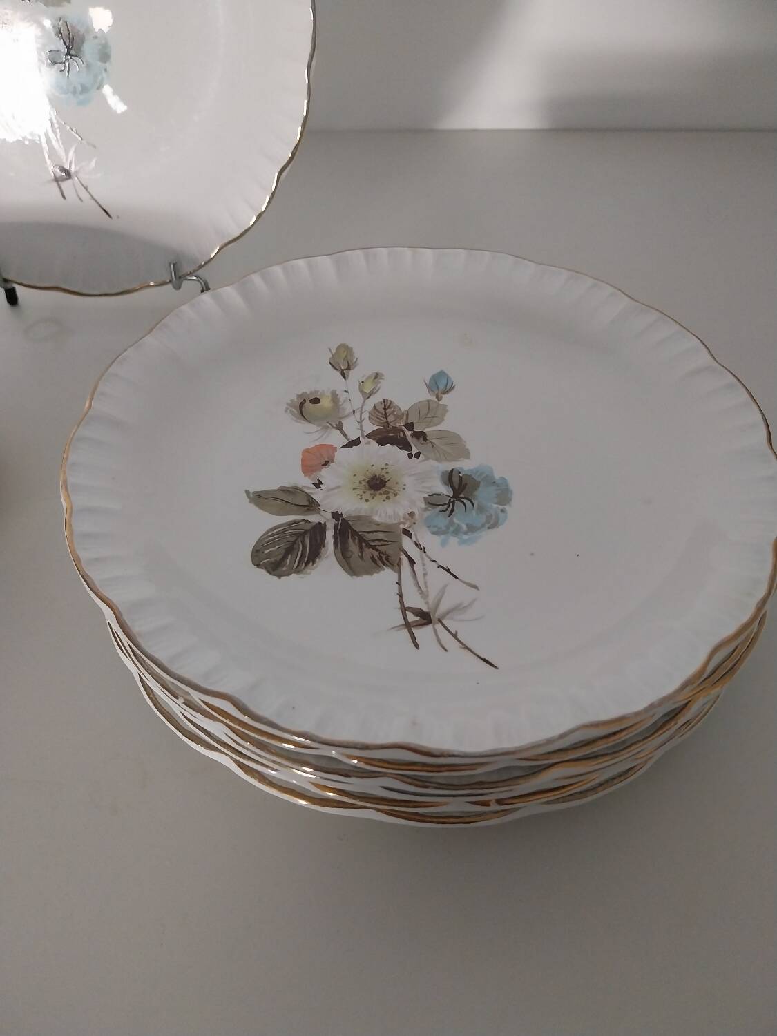 12 Digoin Sarreguemines dinner plates