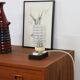 Desk lamp 70's