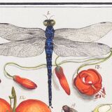 Small poster on insects and plants, based on an old engraving