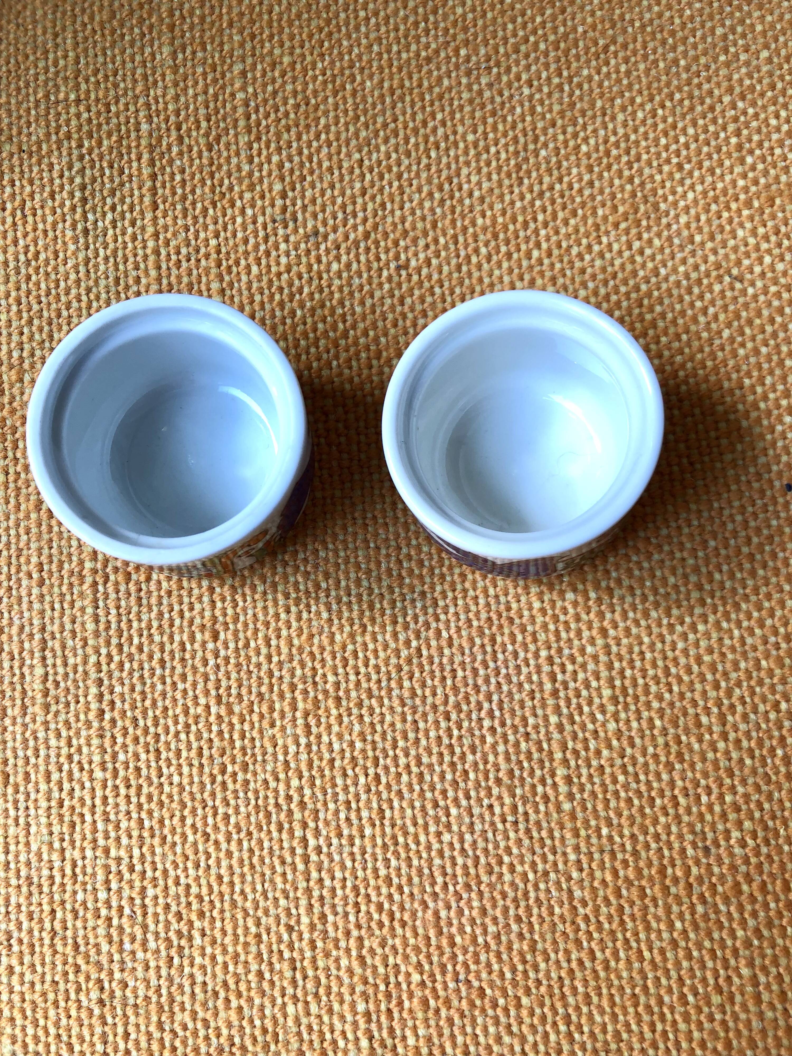 Lot of cockroaches Acapulco Villeroy and Boch