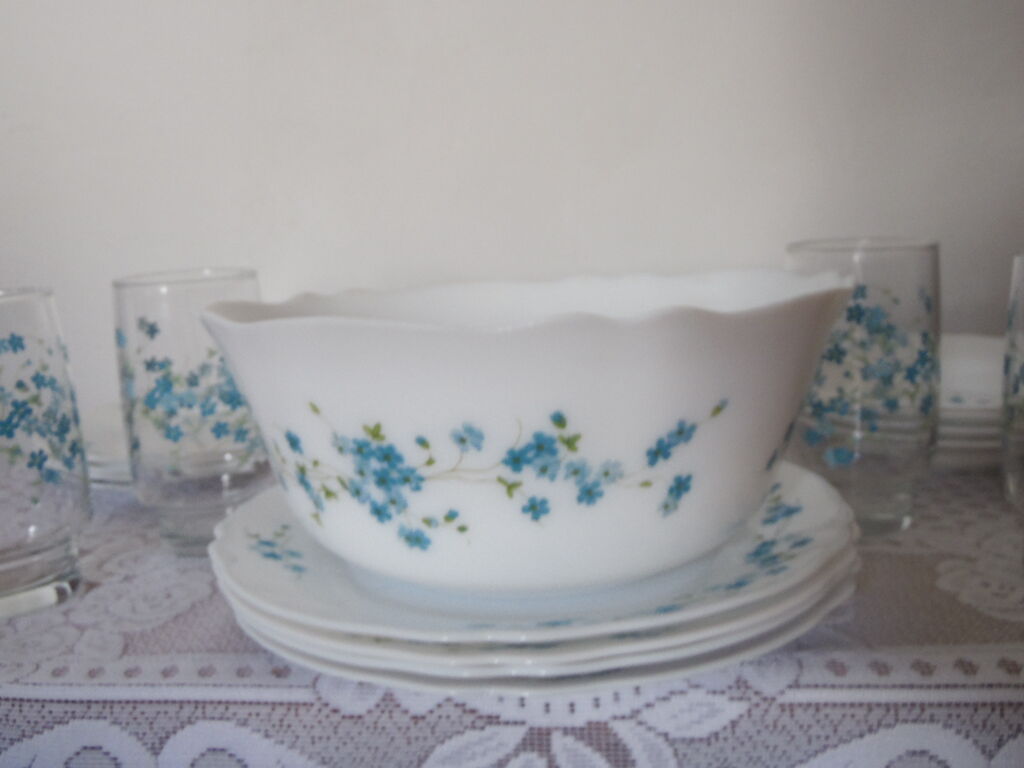 Service for 4 people forget-me-not arcopal