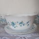 Service for 4 people forget-me-not arcopal