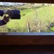 Mado buffet, wooden tray