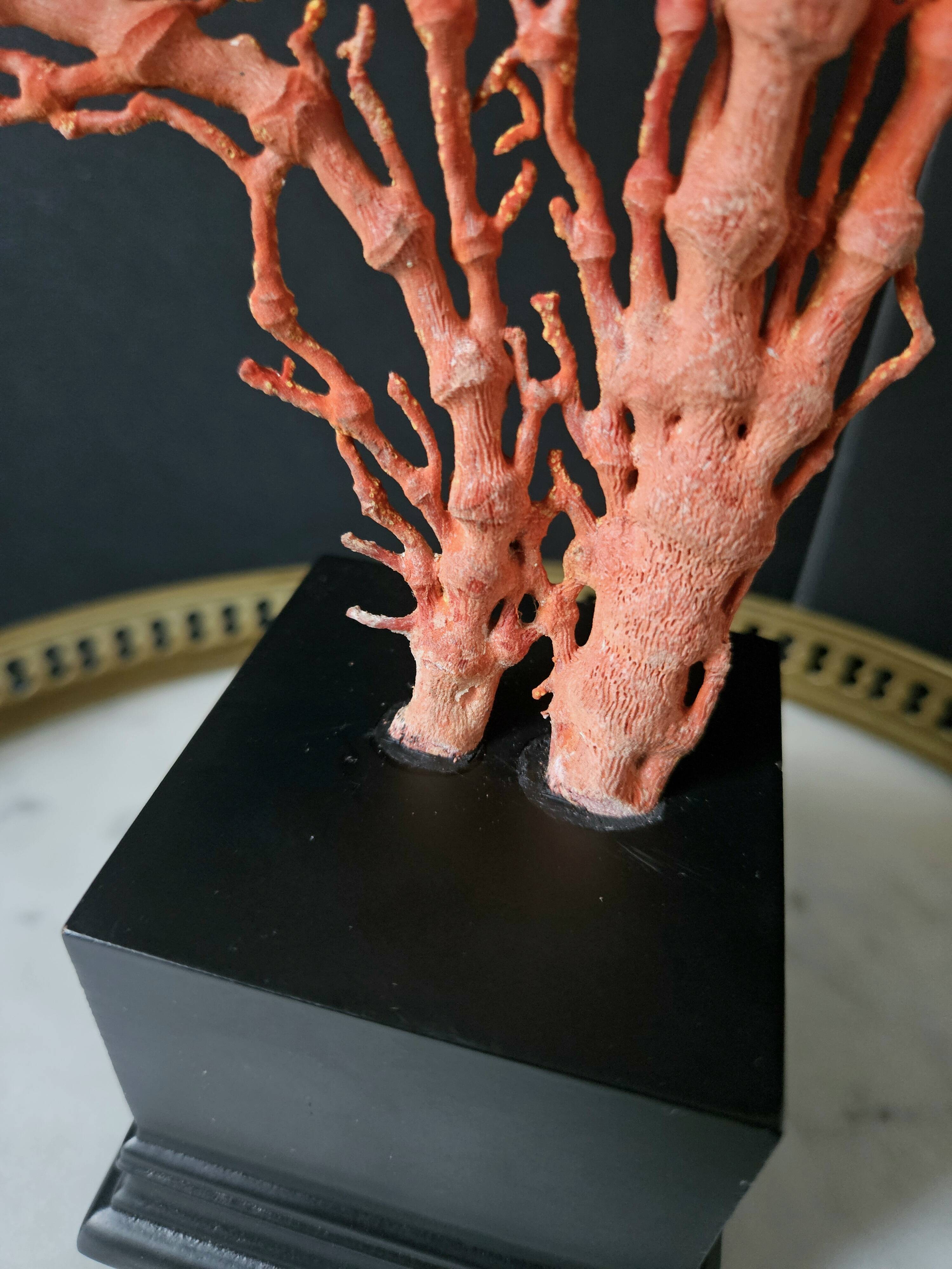 Gorgone Rouge XXL Wooden Base. H: 47 cm | Decorative Object l PlaceOdd