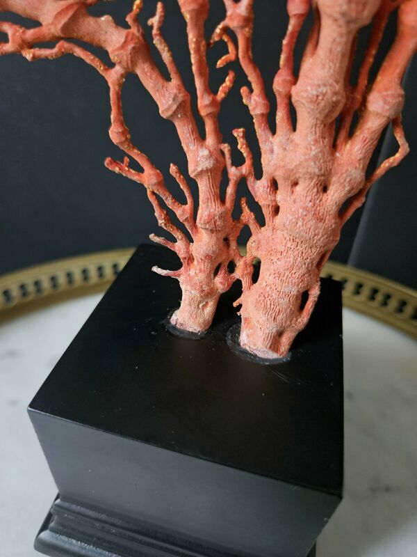 Gorgone Rouge XXL Socle en bois. H : 47 cm   Objet de Décoration l PlaceOdd