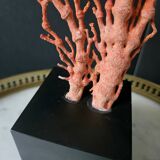 Gorgone Rouge XXL Wooden Base. H: 47 cm | Decorative Object l PlaceOdd