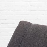 D70 Daybed Sofa by Osvaldo Borsani for Tecno 1950s