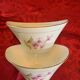 Superb Table Service Gien France – Model "Chevreuse" – 79 pieces