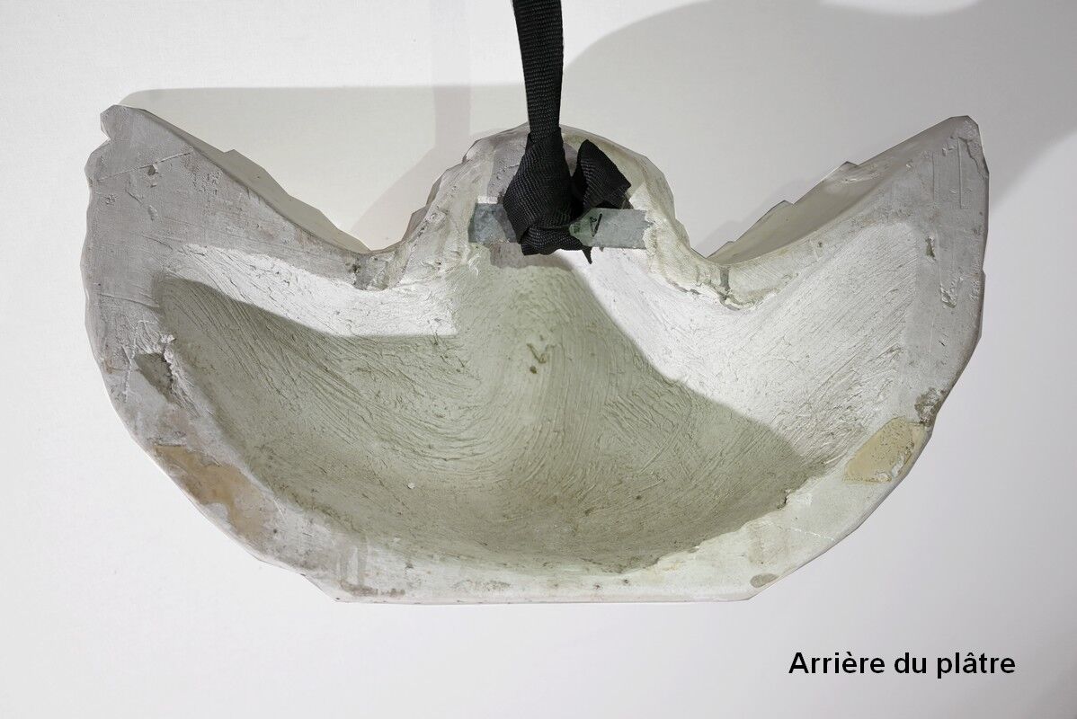 Angel in plaster, D. Esposito - XXth