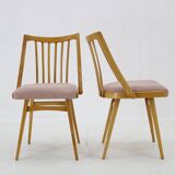 1960s Antonin Suman Set of Four Dining chairs in Beech Wood , Czechoslovakia