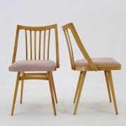 1960s Antonin Suman Set of Four Dining chairs in Beech Wood , Czechoslovakia