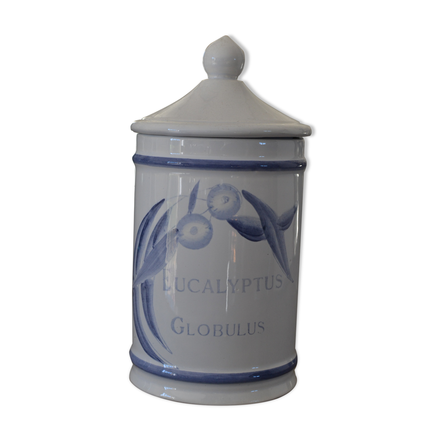 Old pharmacy pot eucalyptus globulus longchamp