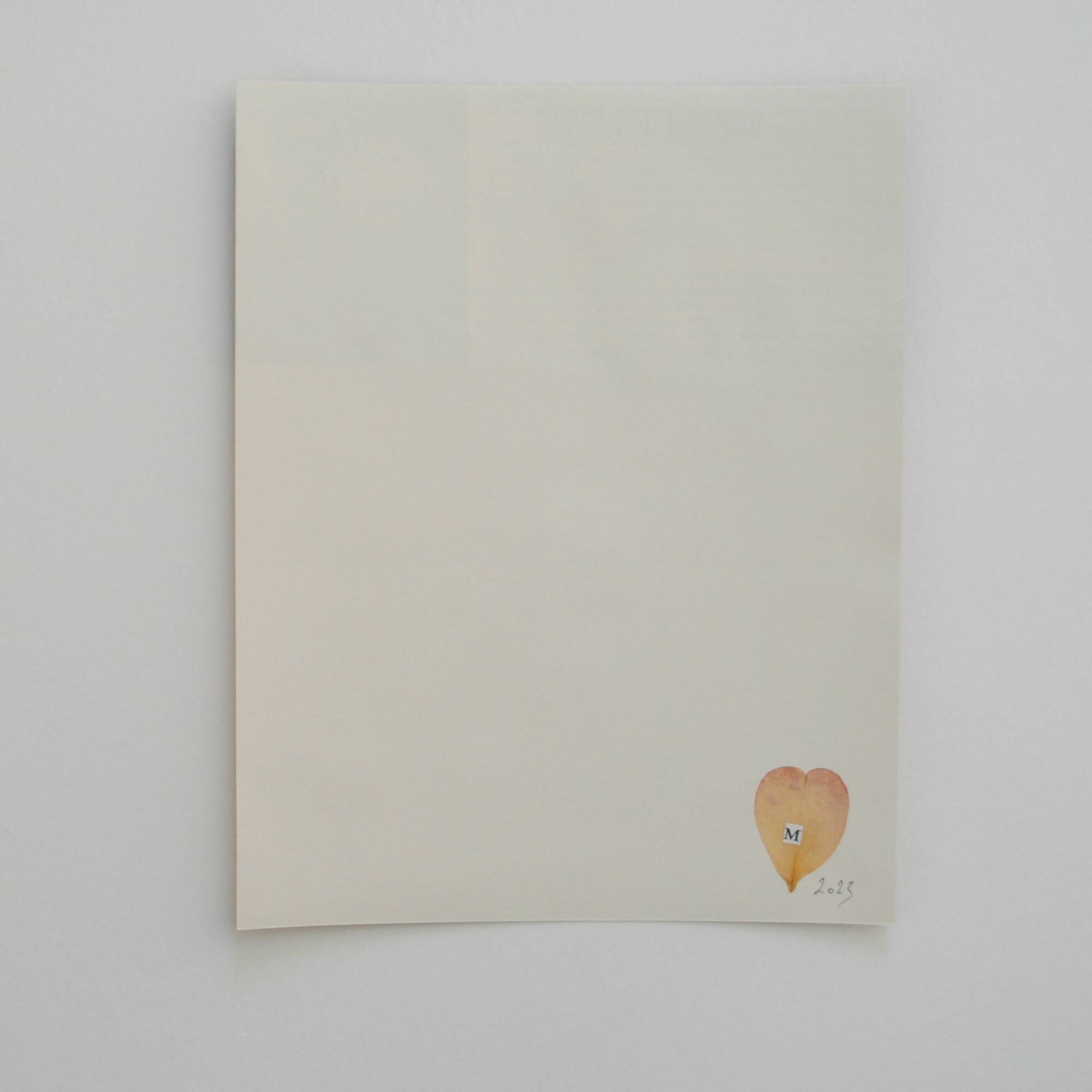 Collage on paper • mineralogy iii