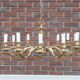 Lustre en laiton, Europe occidentale, milieu du 20ème siècle.