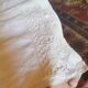Antique linen cloth monogrammed CP
