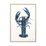 "Lucie", the lobster, art print 21/29.7 cm
