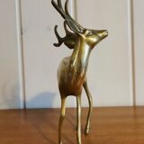 Young golden brass deer