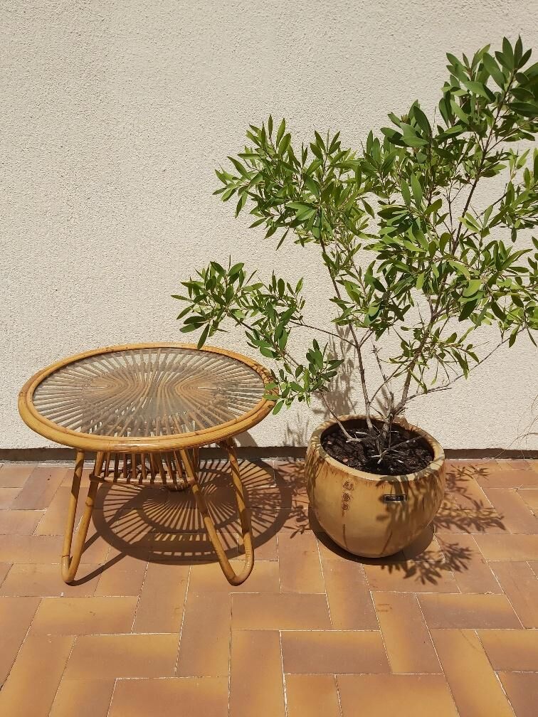 Rattan coffee table 50s