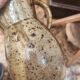 Set of 3 wabi-sabi ceramic pieces