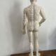Modèle mannequin acupuncture