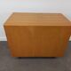 Meuble de rangement scandinave Burwood