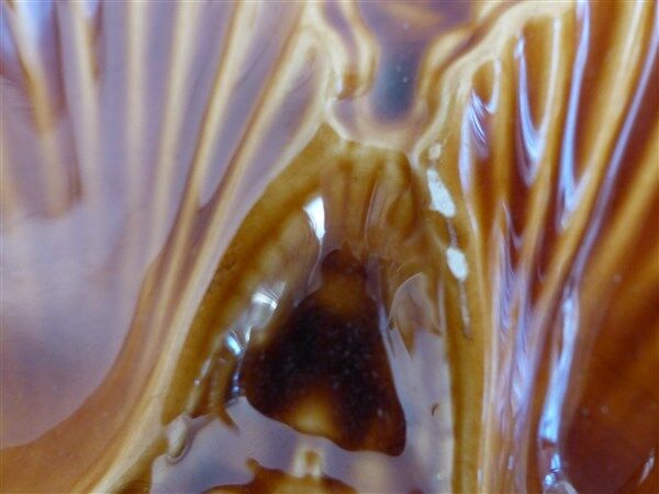 Oyster plates Longchamp slurry