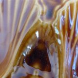 Oyster plates Longchamp slurry