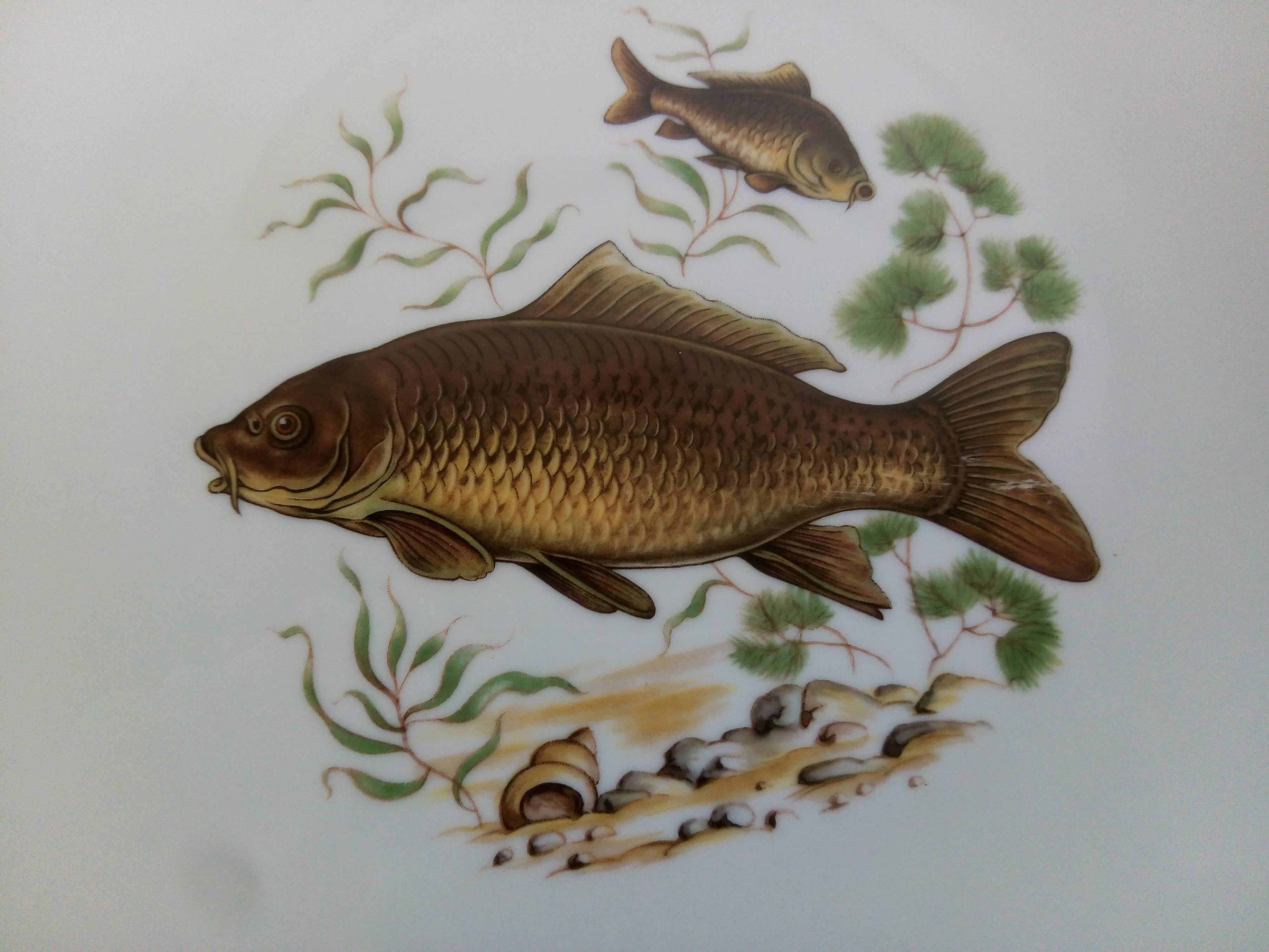 12 assiettes poisson marque PMR Bavaria Jaeger & Co.