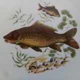 12 fish plates brand PMR Bavaria Jaeger & Co.