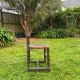 Chaise 19eme tournée en bois