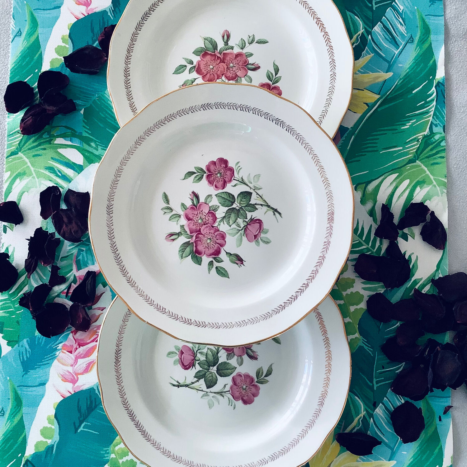 6 assiettes plates