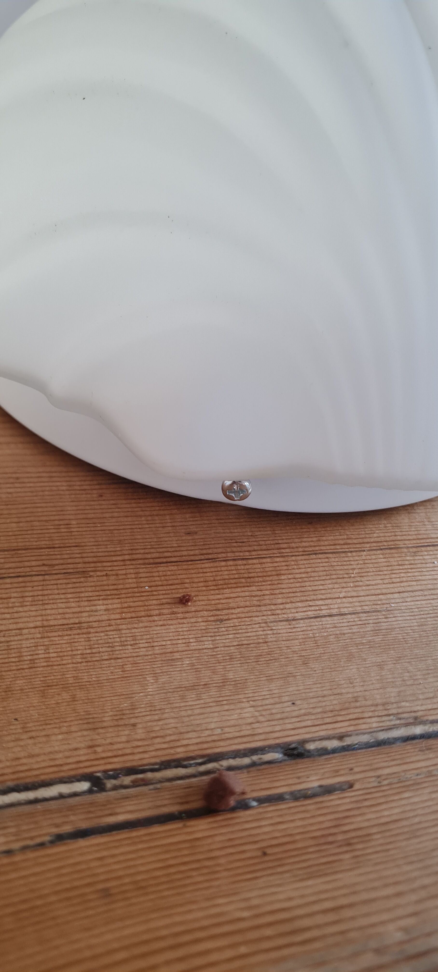 White opaline shell wall lamp