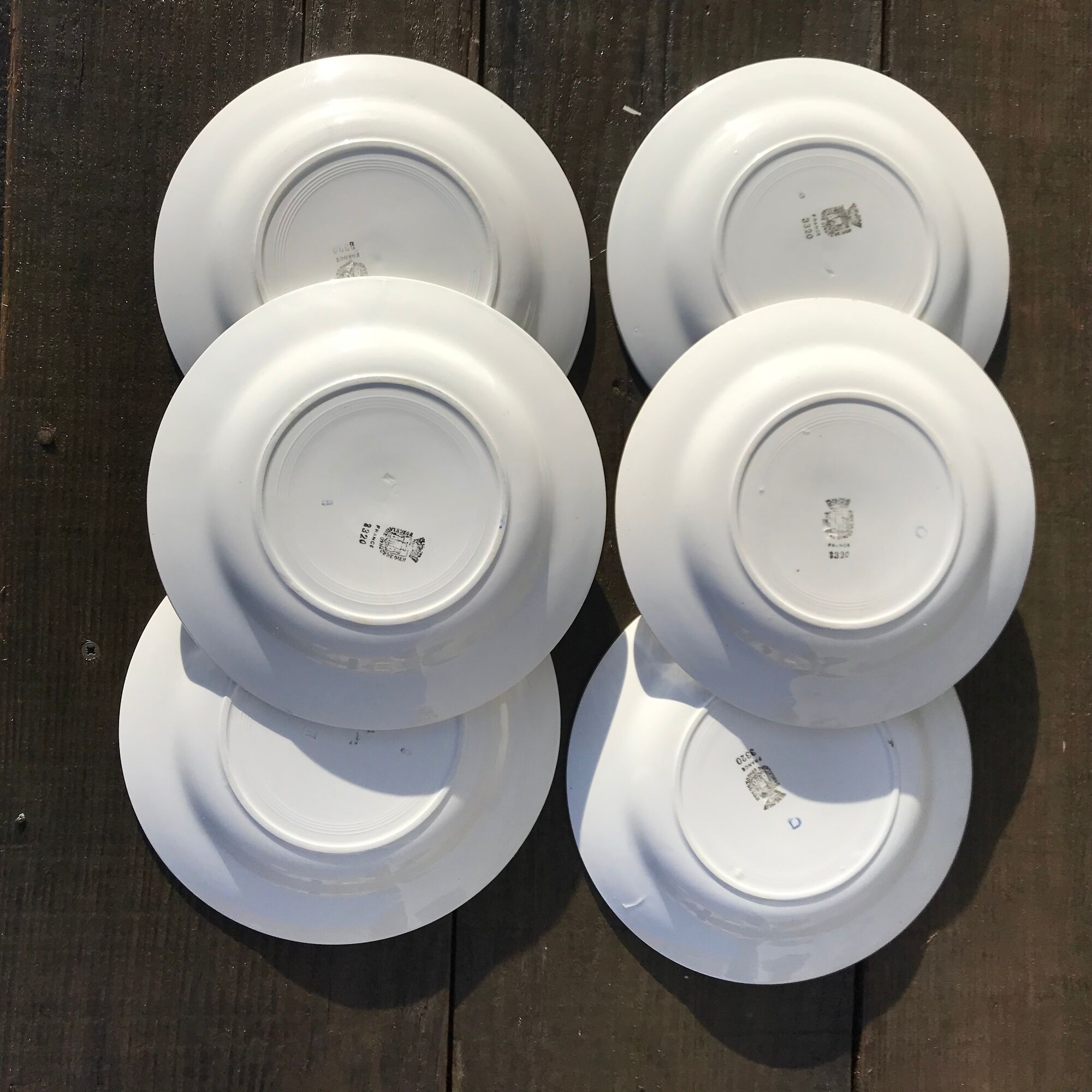 6 assiettes plates bleuets porcelaine opaque de gien