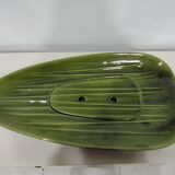 Asparagus 50 years service