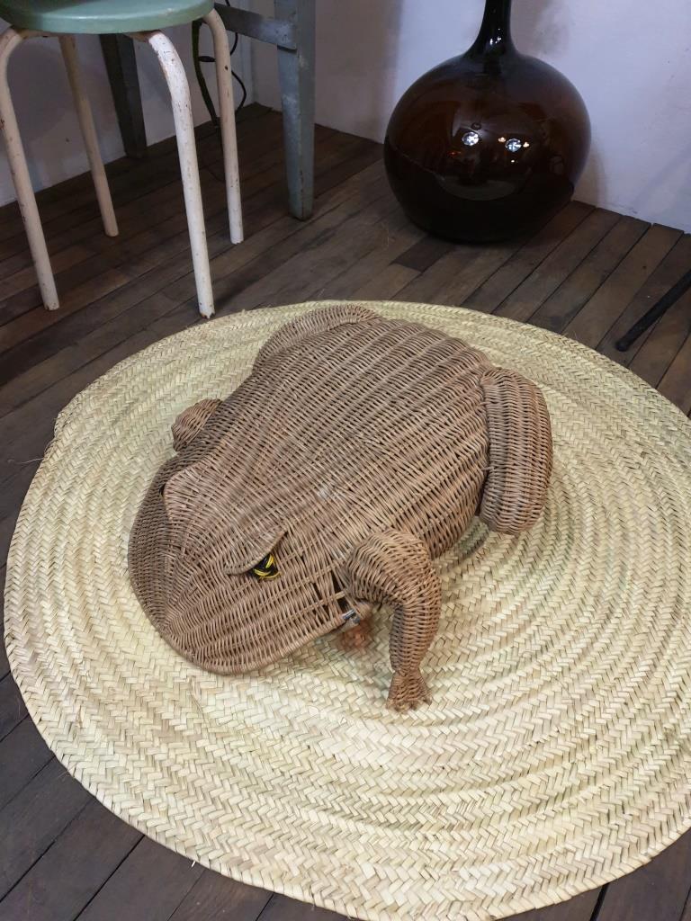Frog magazine door rattan