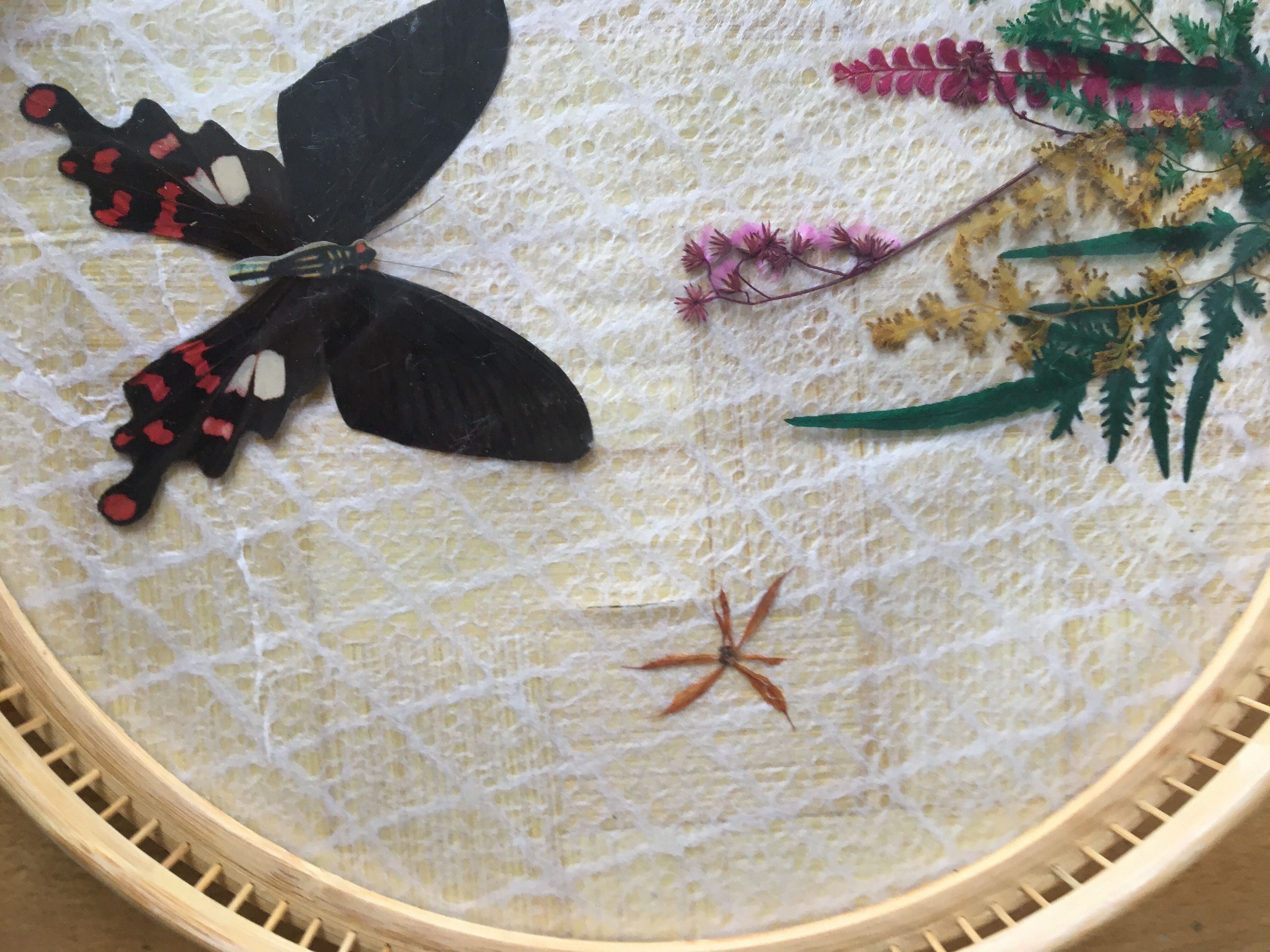 6 under glasses and its tray