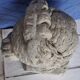 Bust ancient goddess