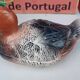 Terrine canard