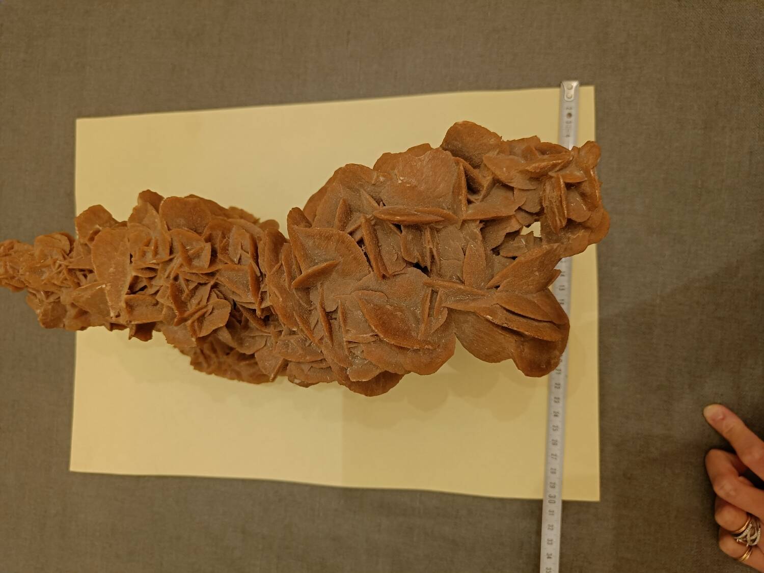 Algerian sand rose 3.8kg