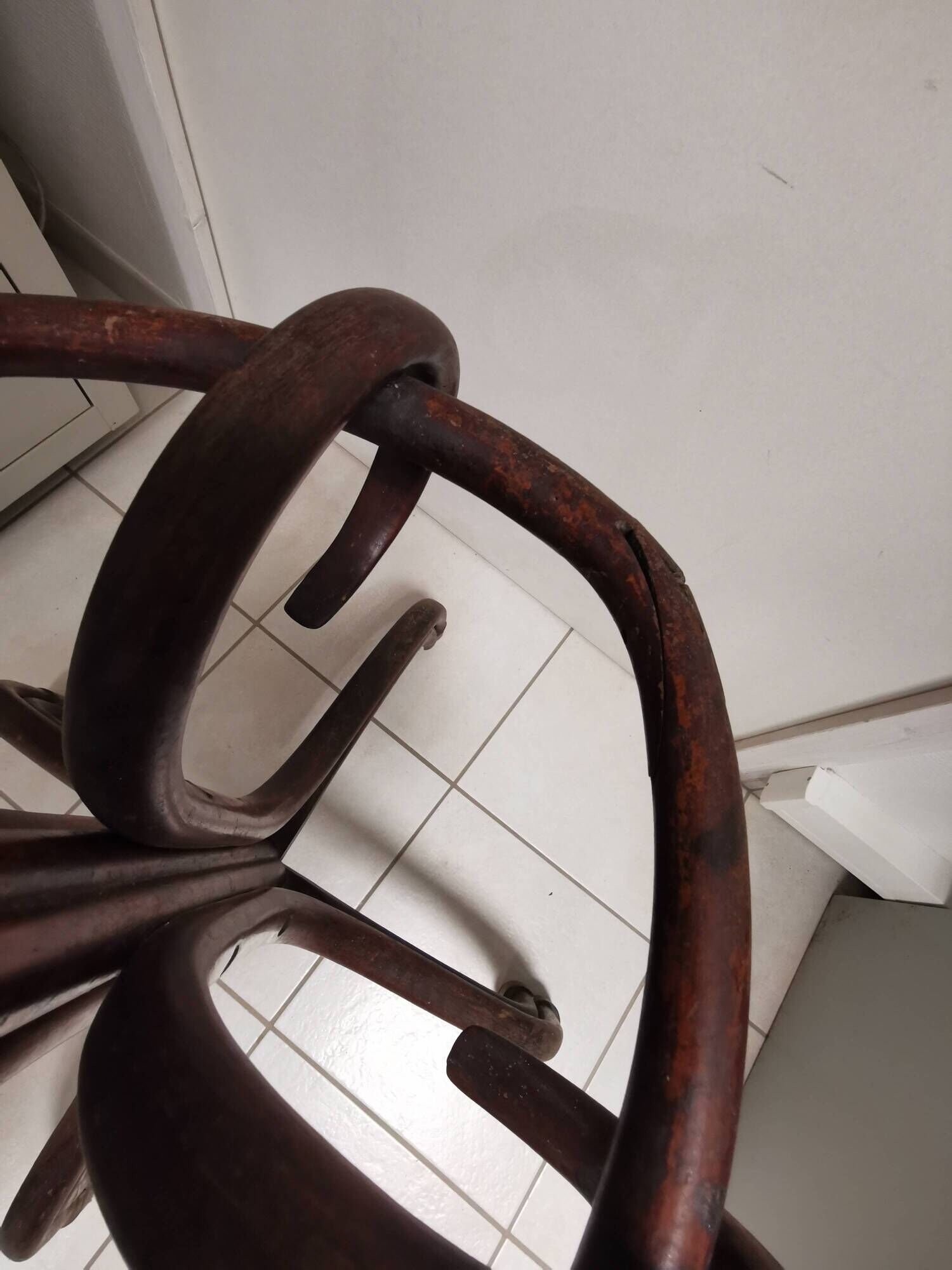 Parrot art nouveau coat racks bar bistro style