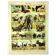 Antique engraving 1897 A. Millot - Mammals 1, animals, zoology