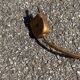 old floor lamp / gilded bronze light fixture / vintage