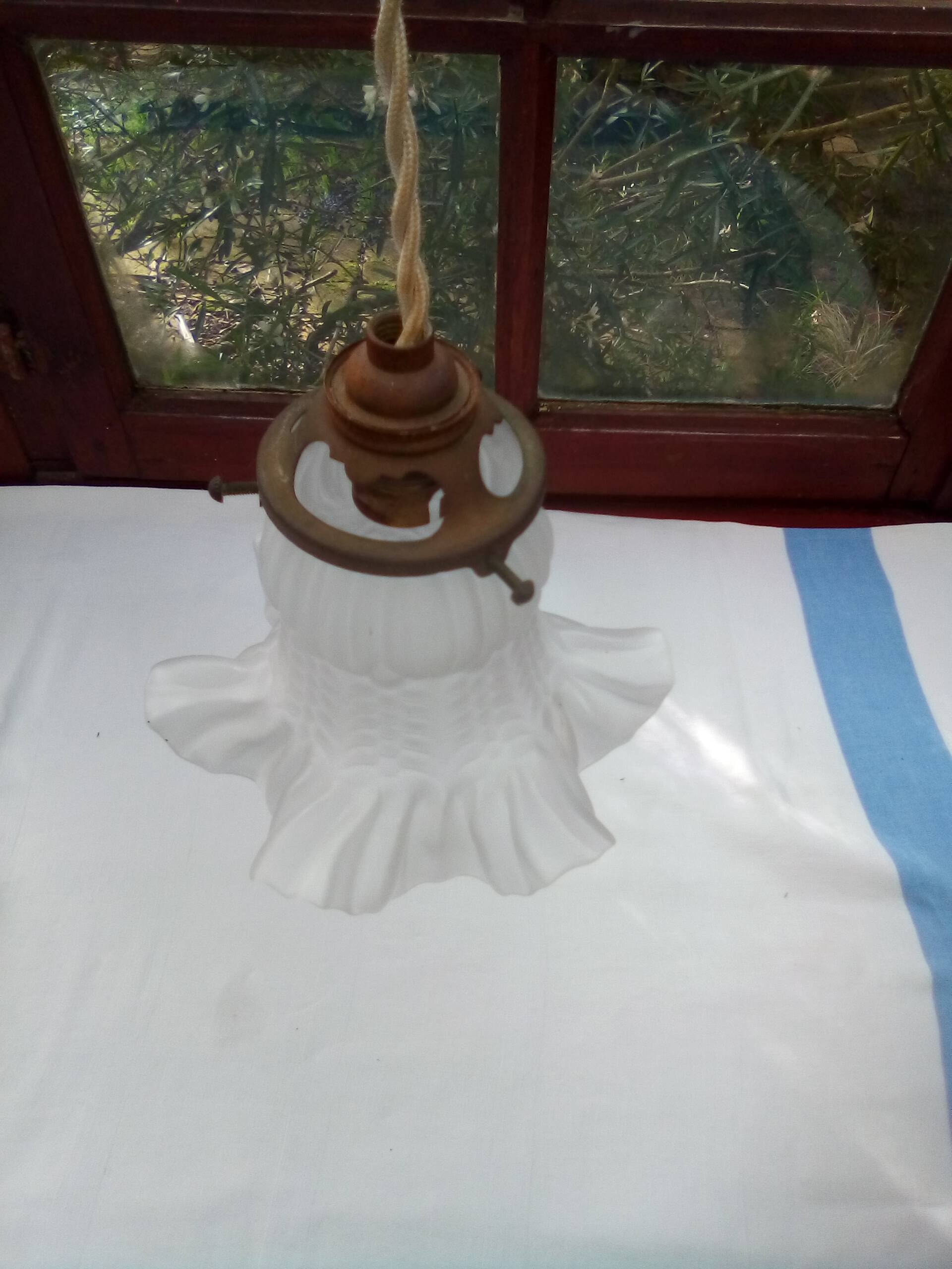 Glass tulip pendant light