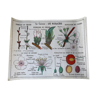 School poster