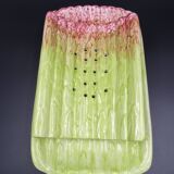 Asparagus dish in bubble